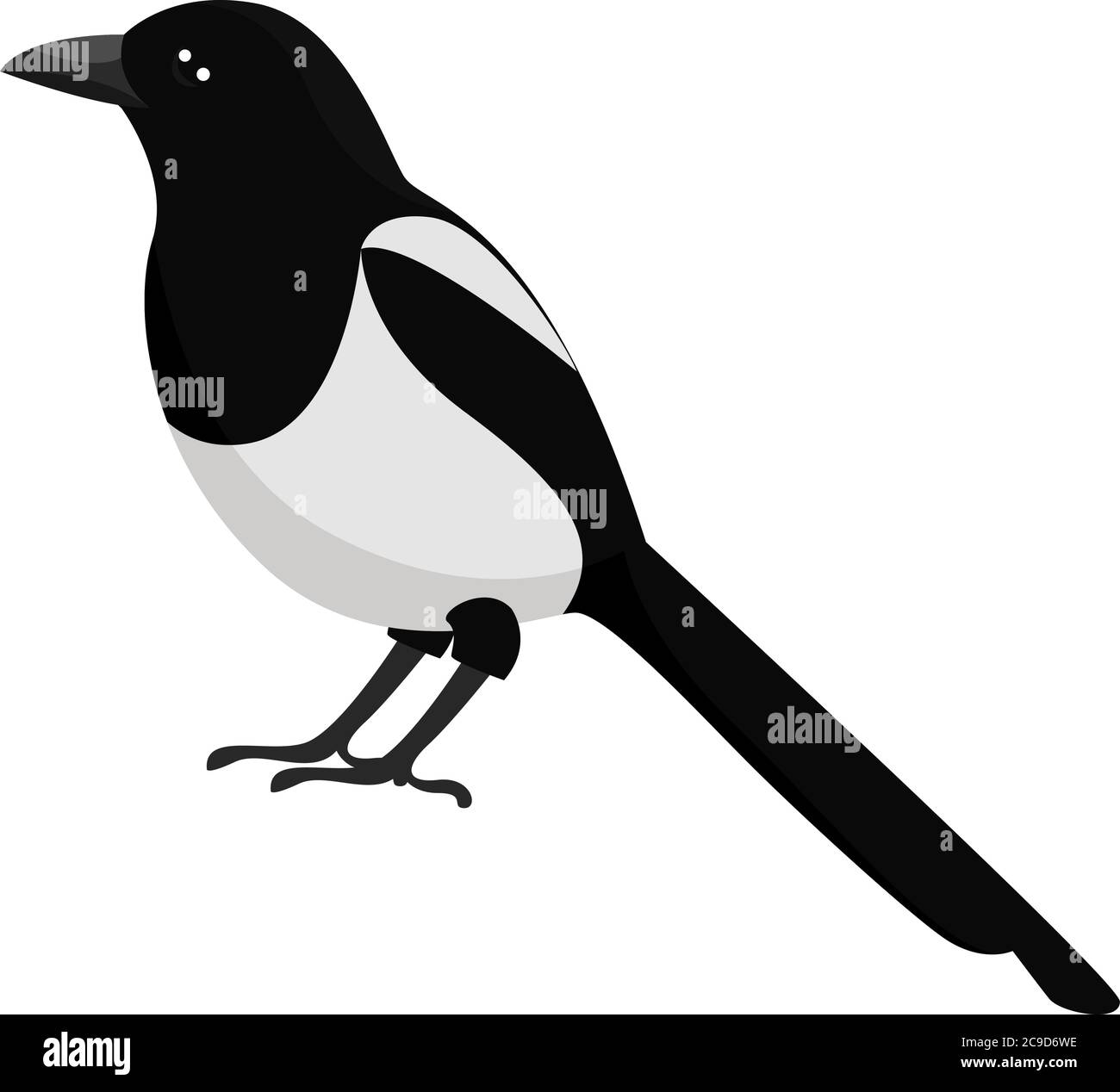 Uccello Magpie, illustrazione, vettore su sfondo bianco Illustrazione Vettoriale