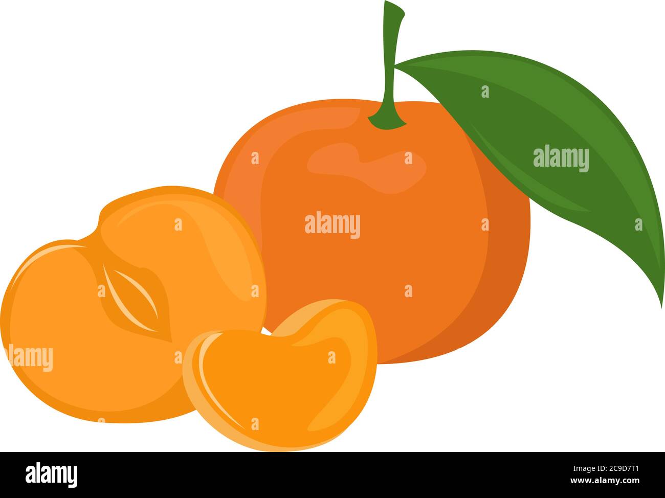 Frutto mandarino, illustrazione, vettore su sfondo bianco Illustrazione Vettoriale