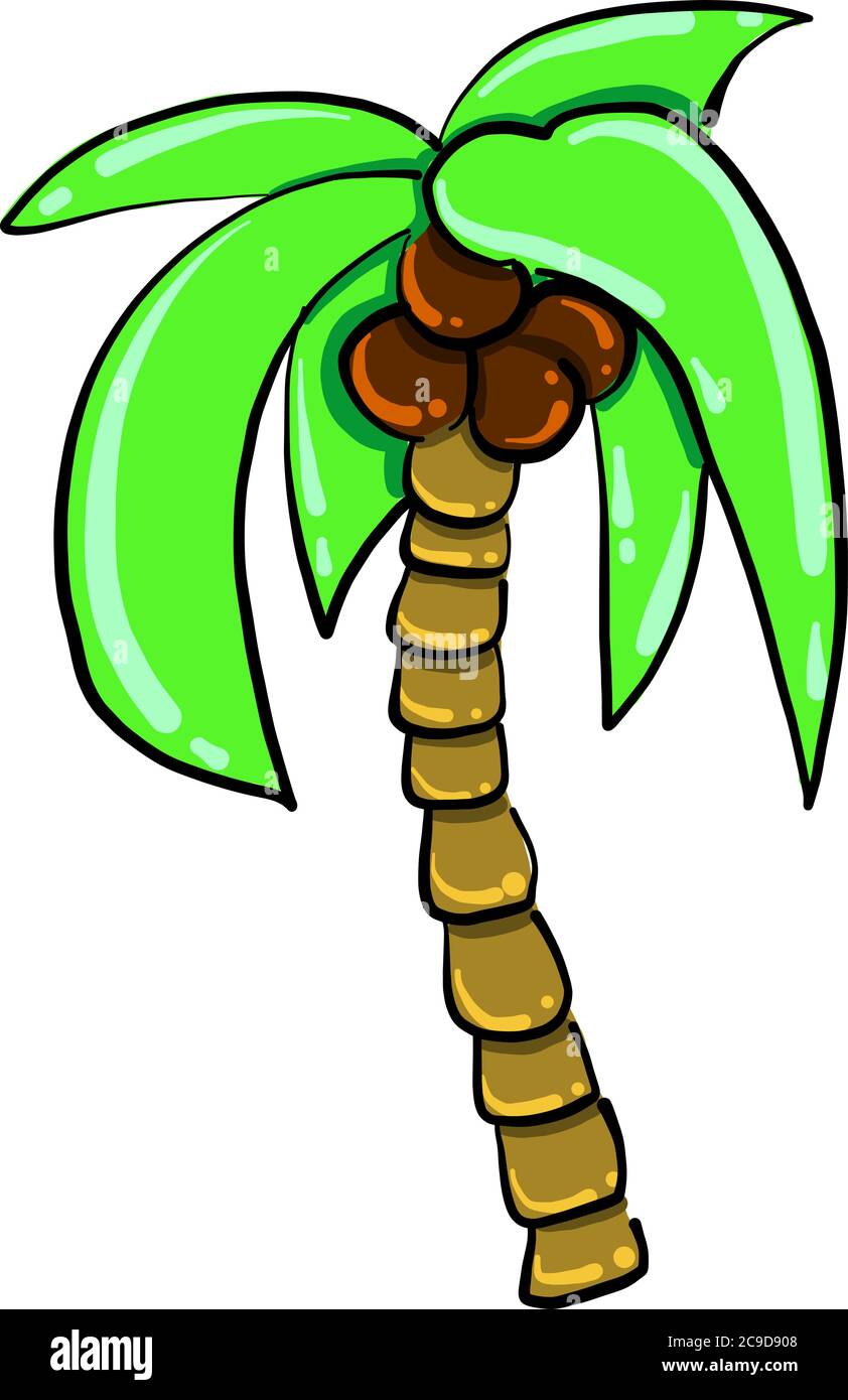 Palm tree, illustrazione vettore su sfondo bianco Illustrazione Vettoriale