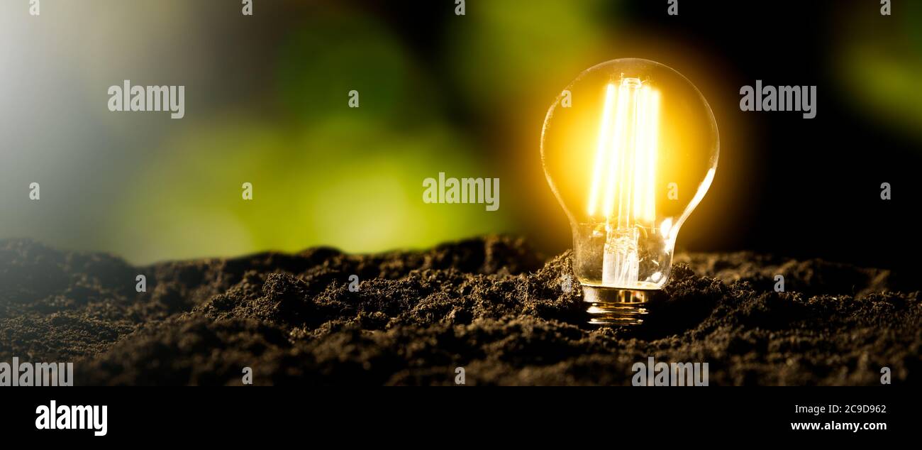 Lampadina a LED incandescente. Ambiente ecologico e sostenibile Foto Stock