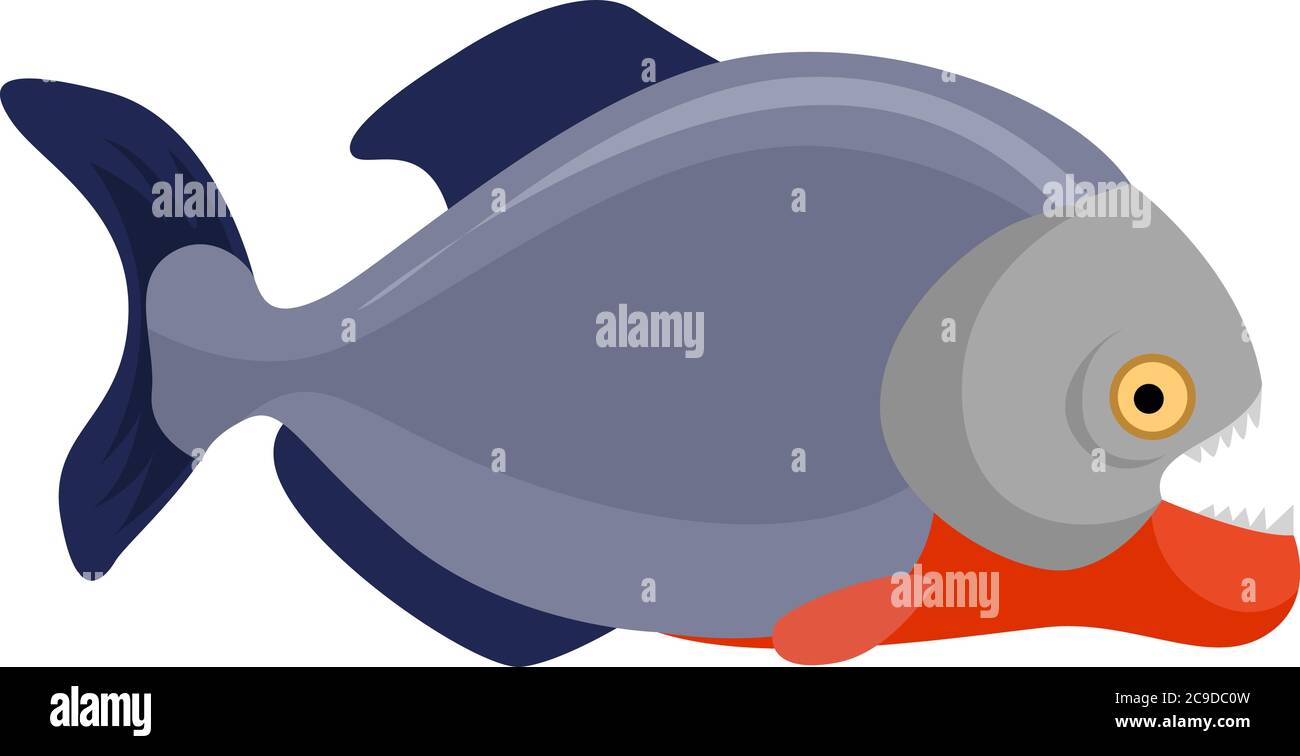 Piranha abbellito, illustrazione, vettore su sfondo bianco Illustrazione Vettoriale