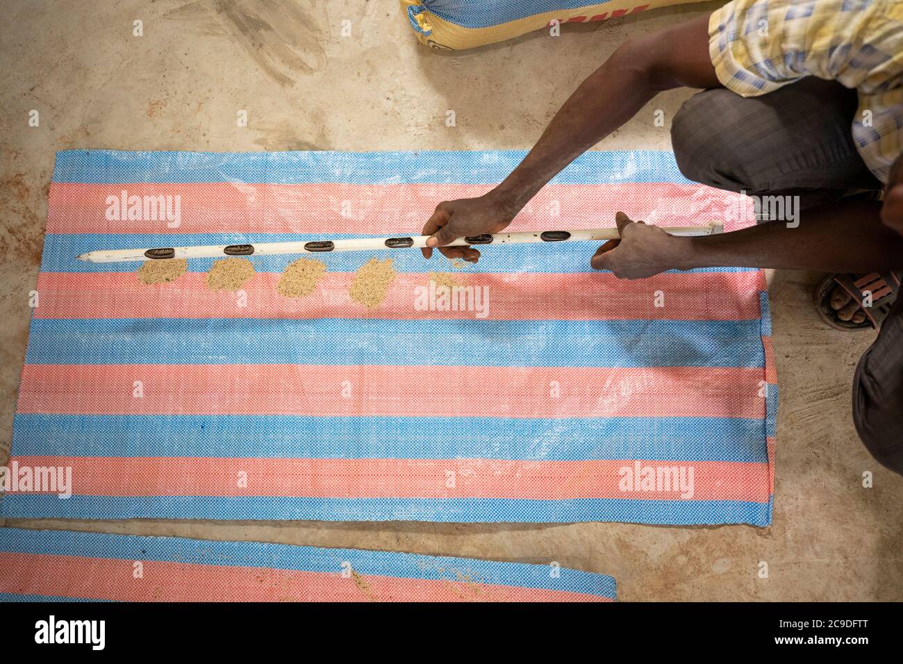 L'uso di un'asta di campionamento consente agli addetti al magazzino di campionare la qualità del sesamo in un sacco di tela di sacco in tutta la busta senza aprirlo. Regione di Boucle de Mouhoun, Burkina Faso, Africa occidentale. Foto Stock