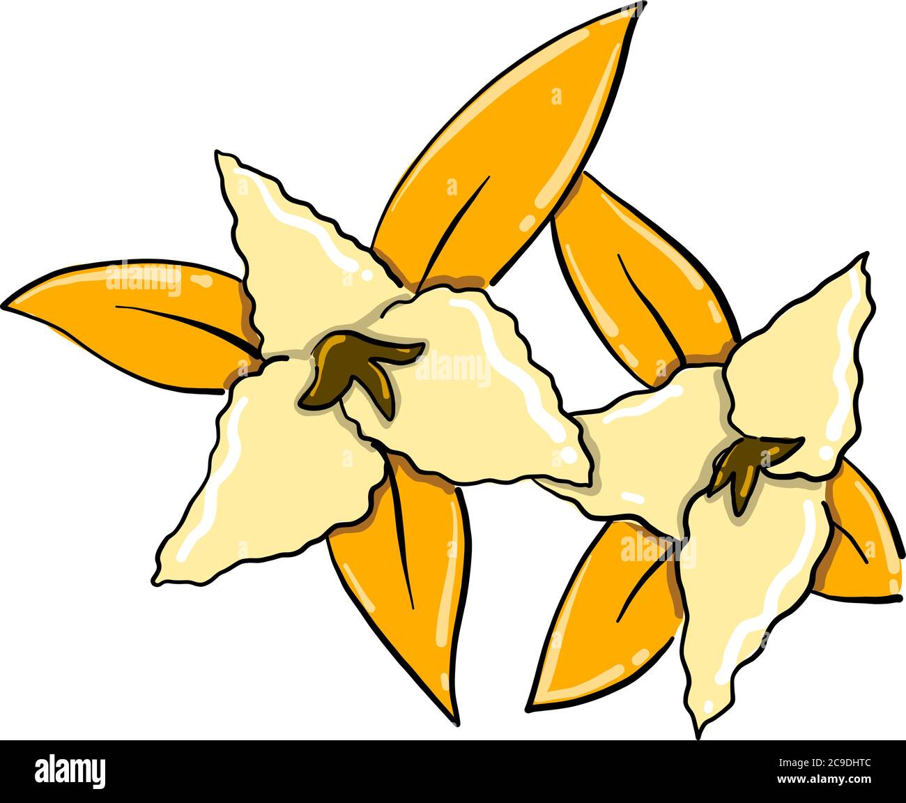 Due fiori, illustrazione, vettore su sfondo bianco Illustrazione Vettoriale