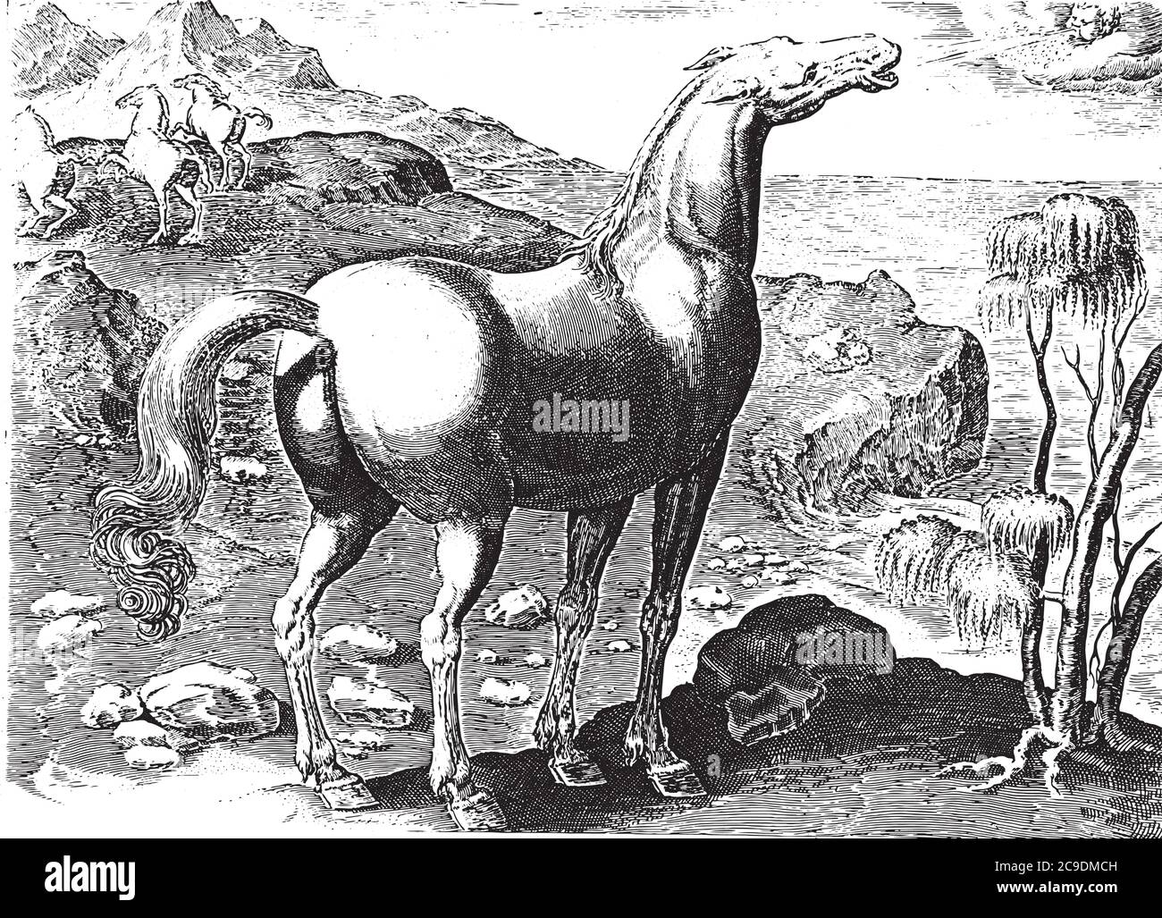 Zefiro feconda un mare, anonimo, dopo Hieronymus Wierix, dopo Jan van der Straet, 1624 - prima del 1648 Zefiro, il vento occidentale, feconda un mar Illustrazione Vettoriale