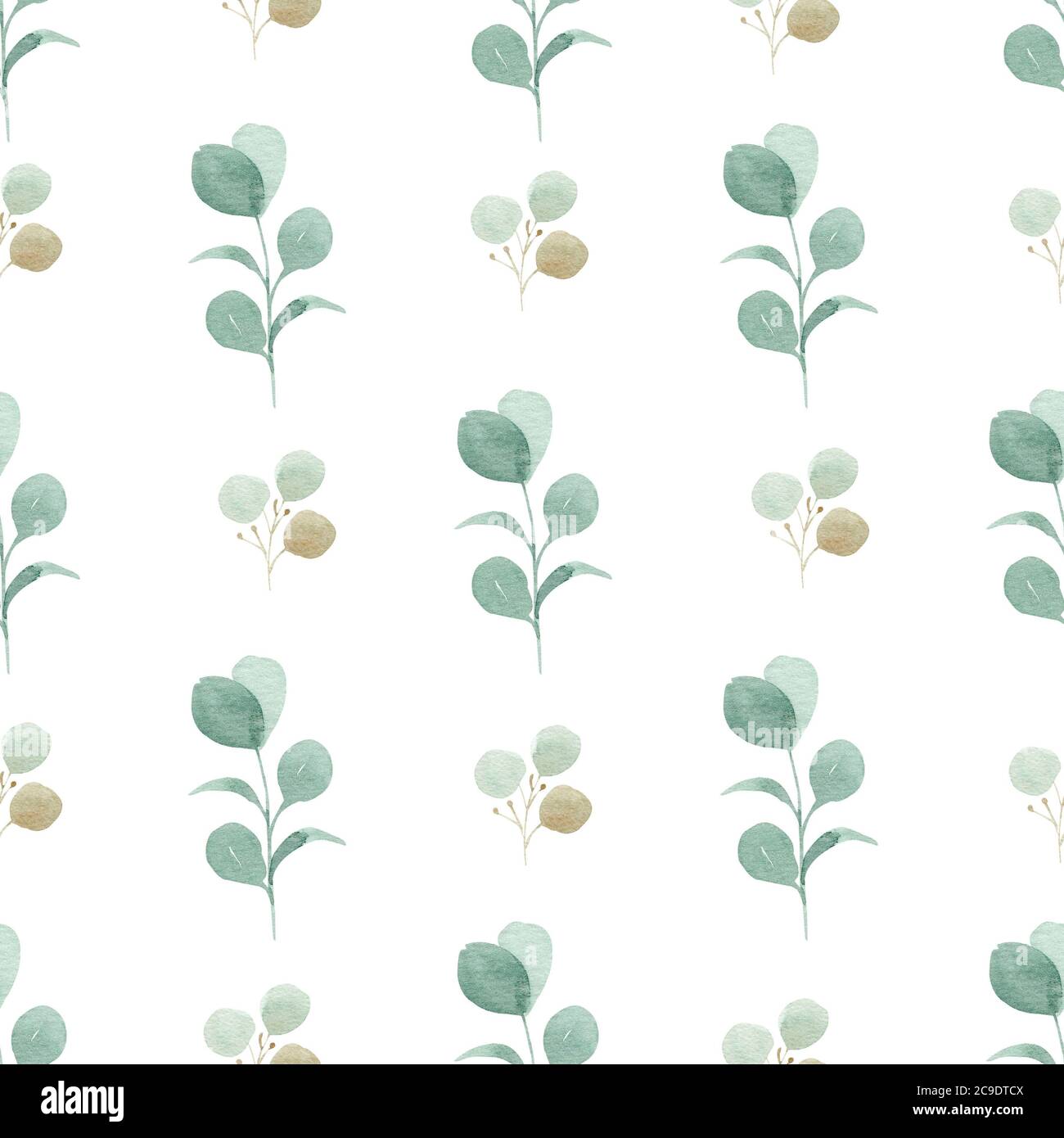 Carta digitale ad acquerello di eucalipto. Motivo verde senza cuciture su sfondo bianco. Foto Stock