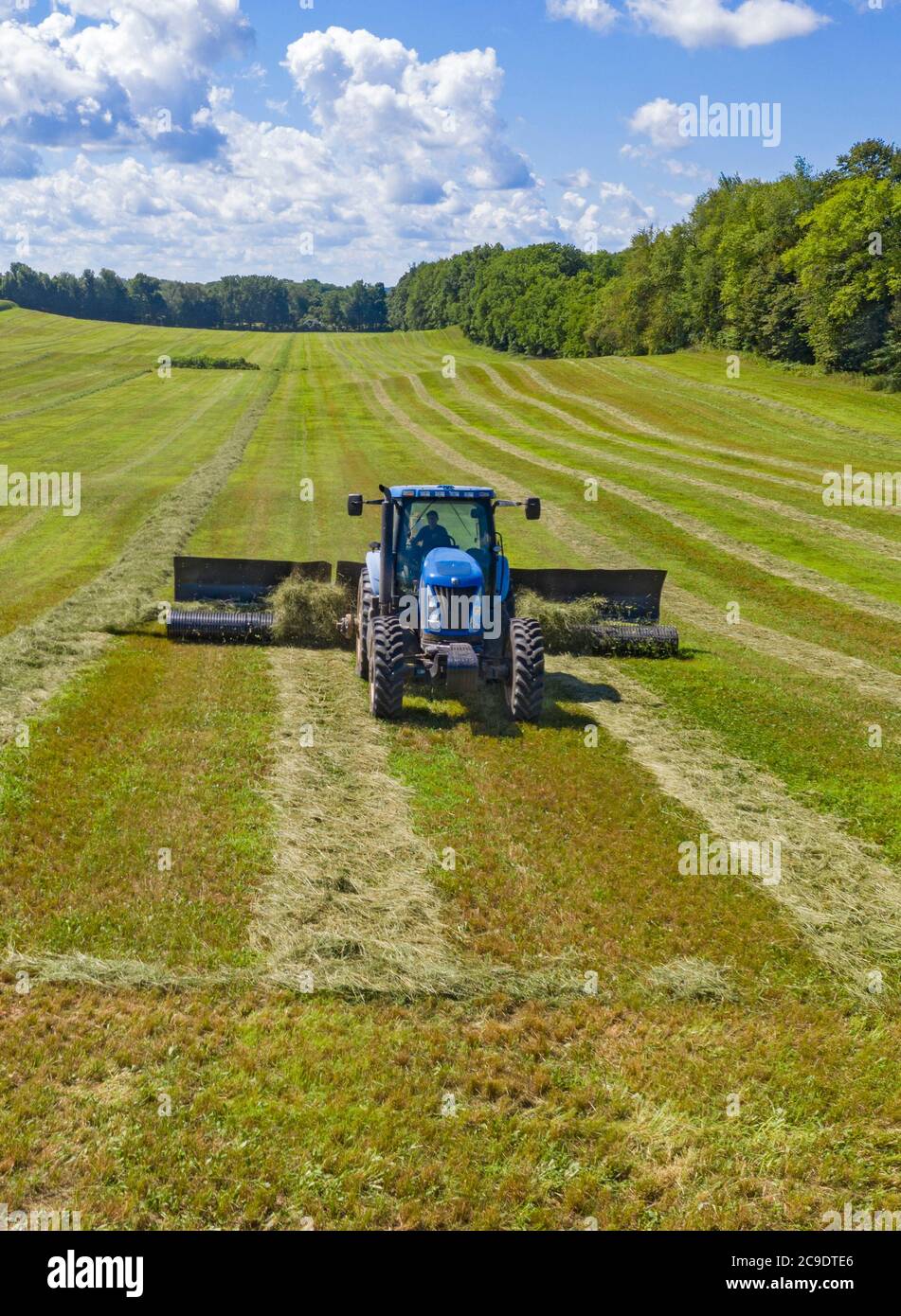 Hopkins, Michigan - UN trattore tira un rastrello di fieno attraverso un campo, impilando il fieno in andane. Foto Stock