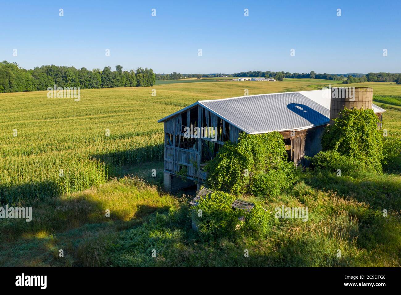 Orangeville, Michigan - un vecchio fienile inutilizzato e silo stand vicino a un grande campo di mais su una fattoria del Michigan occidentale. Foto Stock