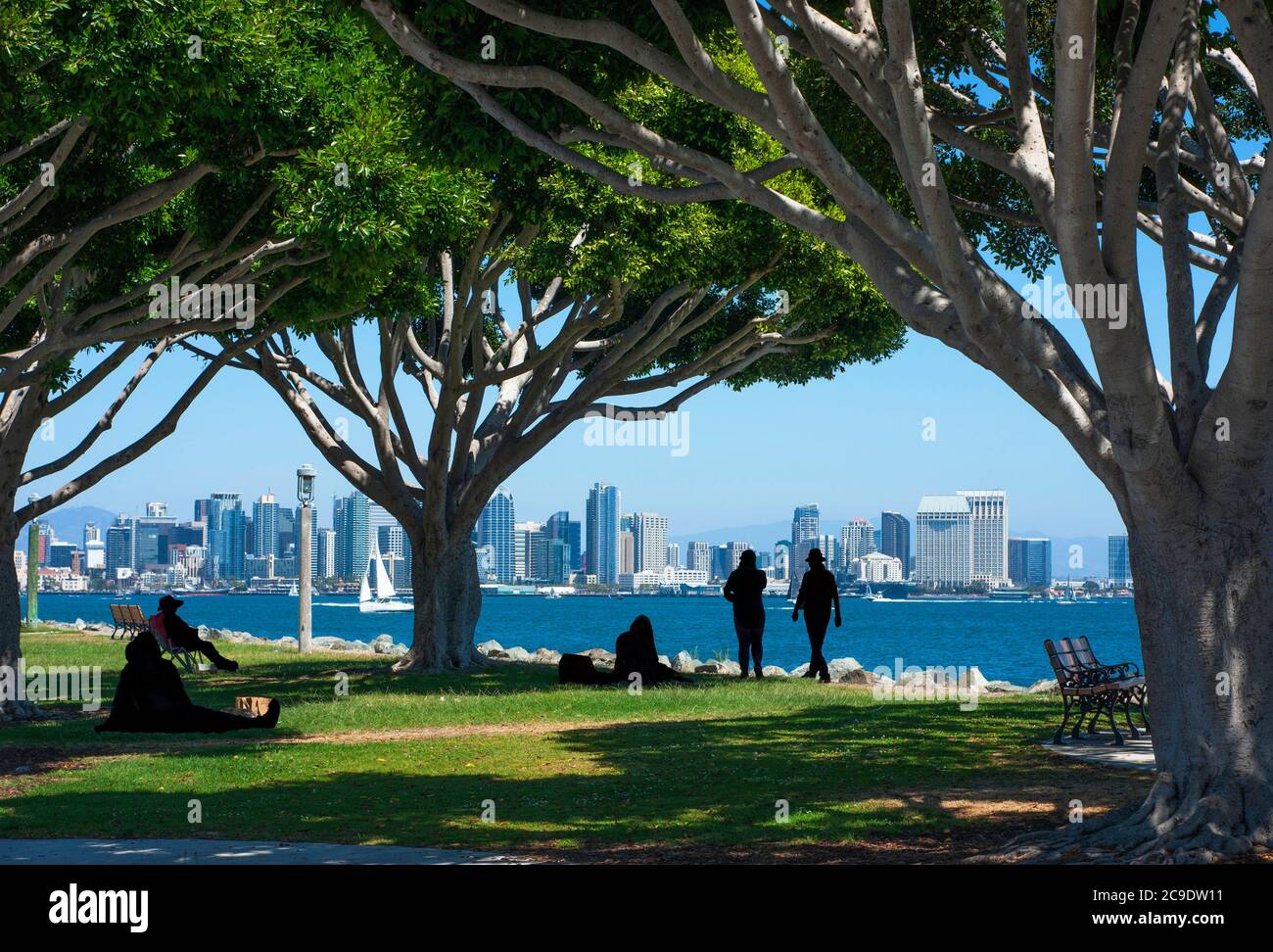 Le persone sotto gli alberi ombreggiati immagini e fotografie stock ad alta  risoluzione - Alamy