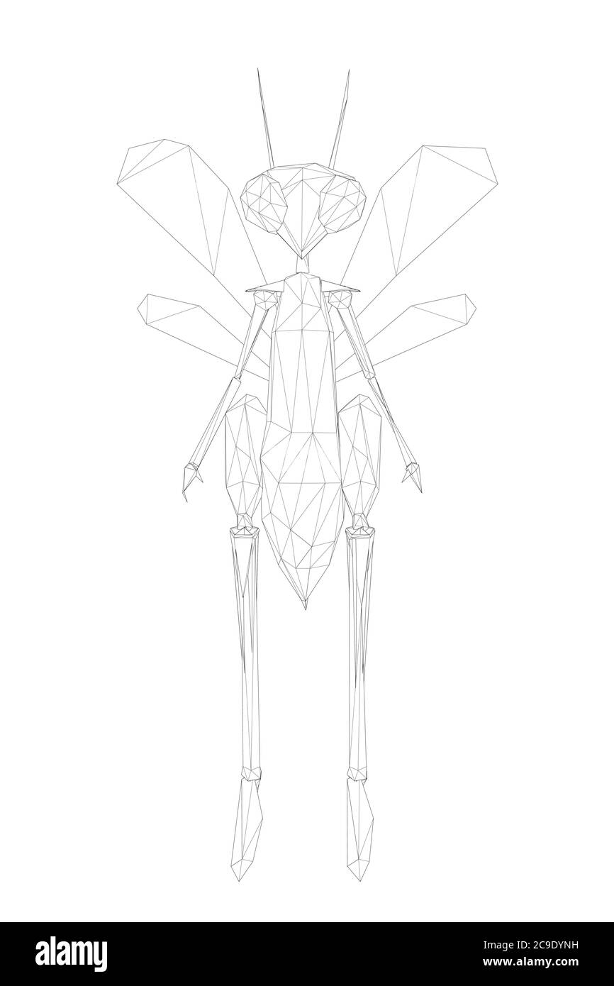 Dragonfly poliumanoide a basso reticolo. Il coleottero si trova su due gambe. Vista frontale. Illustrazione vettoriale. Illustrazione Vettoriale