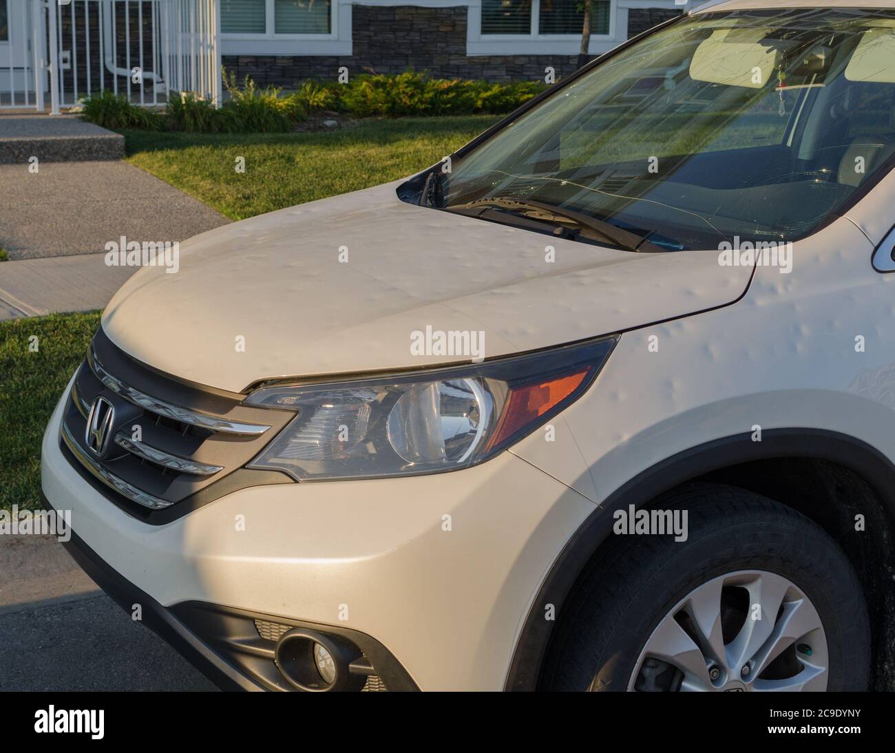 Molti residenti archivieranno i reclami di assicurazione di automobile dopo un evento estremo di grandine a NE Calgary il 13 giugno 2020. Foto Stock