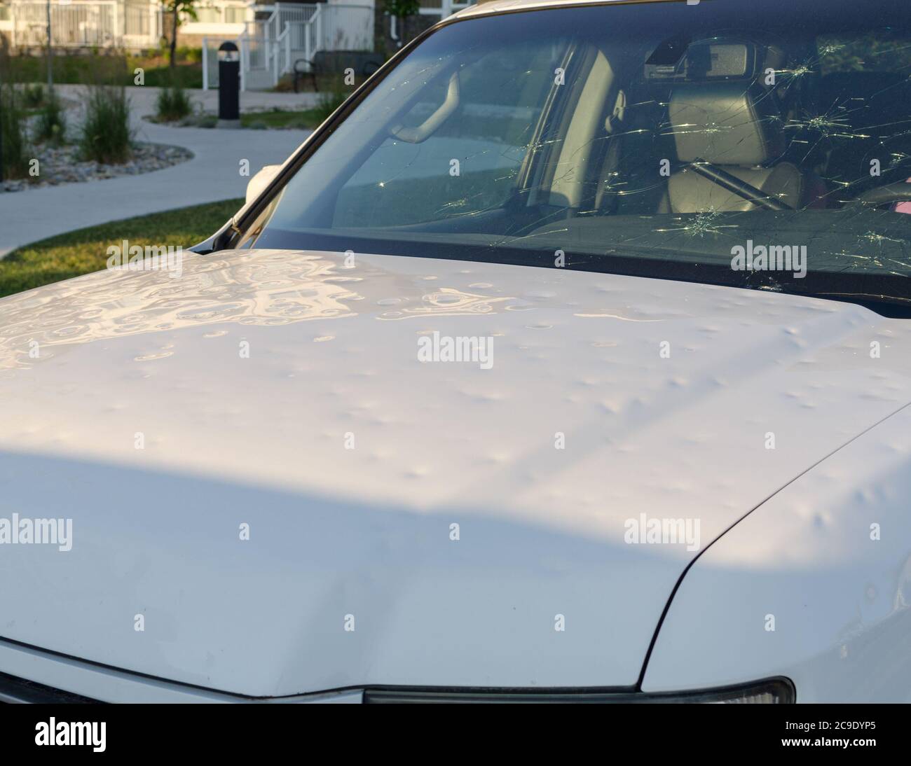 Molti residenti archivieranno i reclami di assicurazione di automobile dopo un evento estremo di grandine a NE Calgary il 13 giugno 2020. Foto Stock