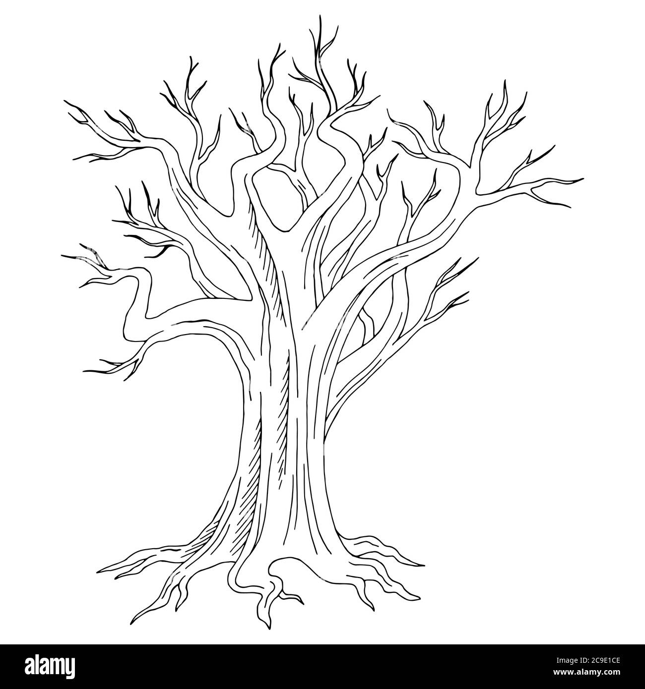 Vettore di illustrazione dello schizzo isolato di un vecchio albero grafico bianco nero Illustrazione Vettoriale