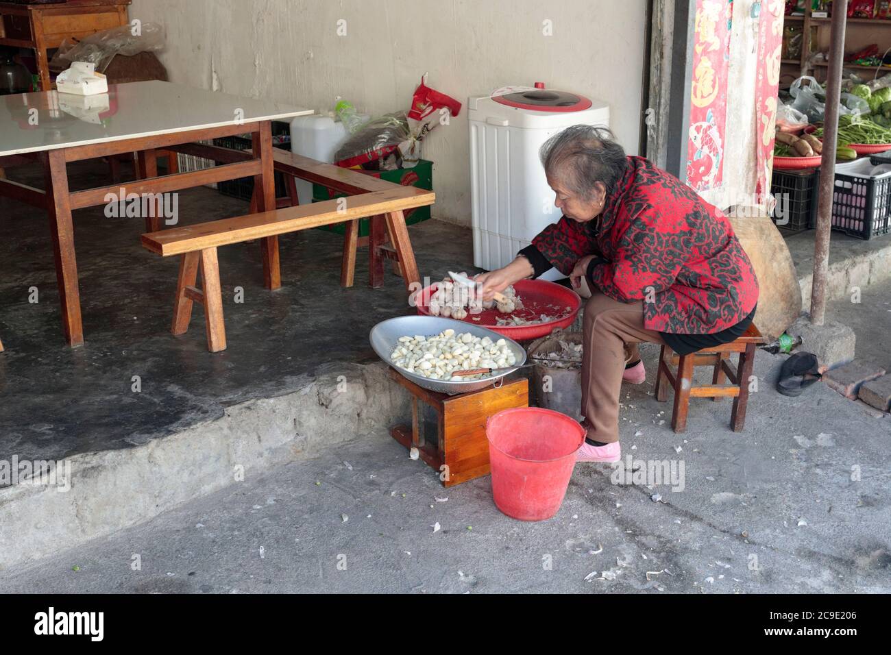 Donna anziana prepara l'aglio per una giornata di cucina in un ristorante, Yingjiang County, Yunnan sud-ovest, Cina 26 dicembre 2018 Foto Stock