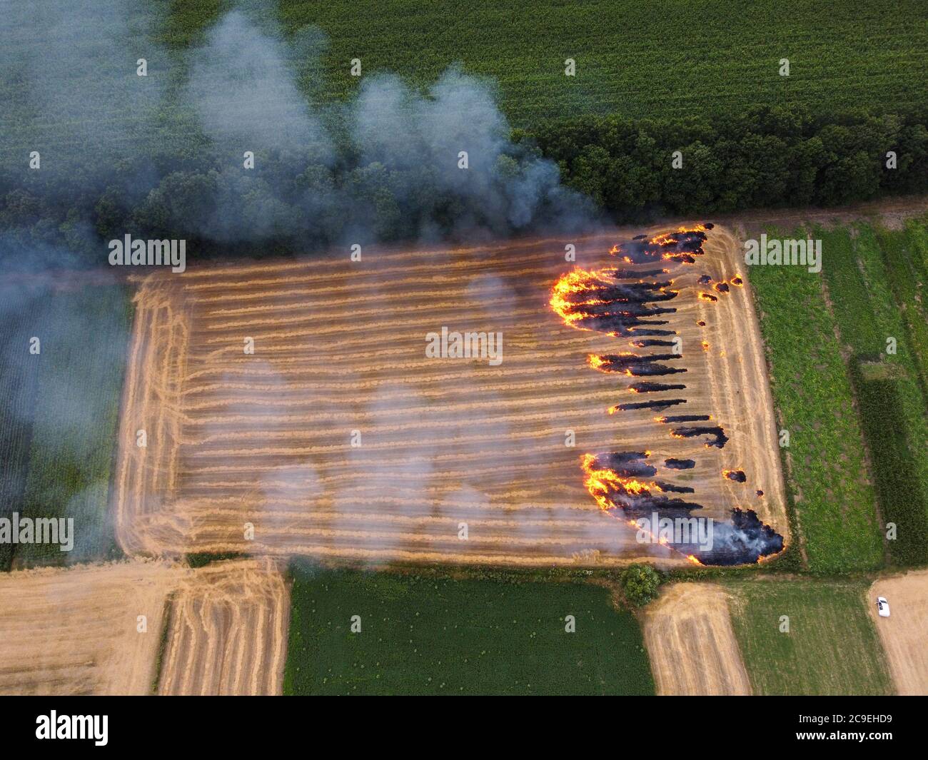 Terreno con paglia, fuoco sul campo, combustione di residui di paglia, inquinamento ambientale dell'aria. Foto Stock