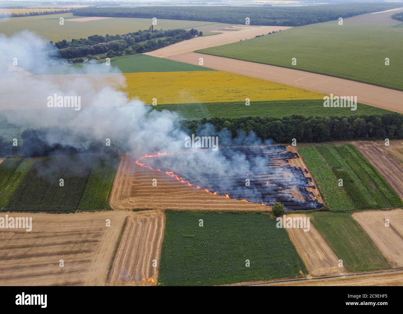 Falciatura della paglia che brucia sul campo, combustione di residui di grano, inquinamento atmosferico. Fumo nel campo. Foto Stock