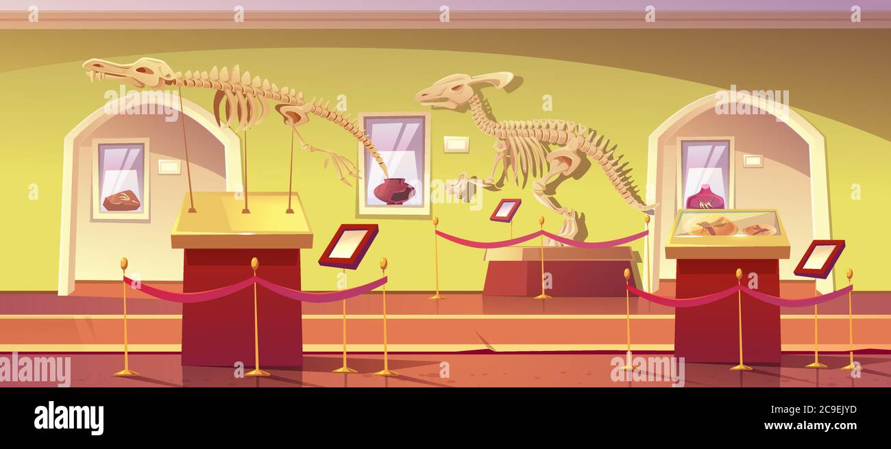 Museo di storia con scheletri di dinosauri, antichi insetti in ambra, creta e fossili di dinosauro. Manufatti in mostra storica. Paleontologia o scienza archeologica, illustrazione vettoriale di Cartoon Illustrazione Vettoriale