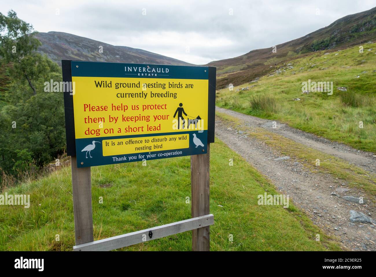 Cartello che dice ai cani di tenere i cani sui cavi a causa di uccelli nidificanti sulla Jock's Road, Invercauld Estate vicino a Braemar in Scozia, Regno Unito. Foto Stock