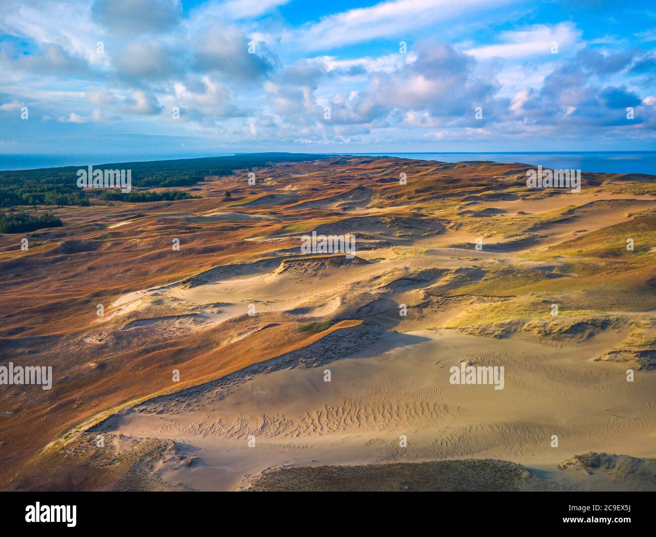 Belle dune grigie, dune morte alla spida curoniana a Nida, Neringa, Lituania Foto Stock