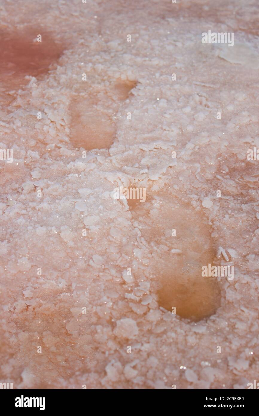 Acqua di rose in un'impronta sul lago di sale, estrazione del sale marino - sfondo paesaggio impianto di estrazione del sale Foto Stock