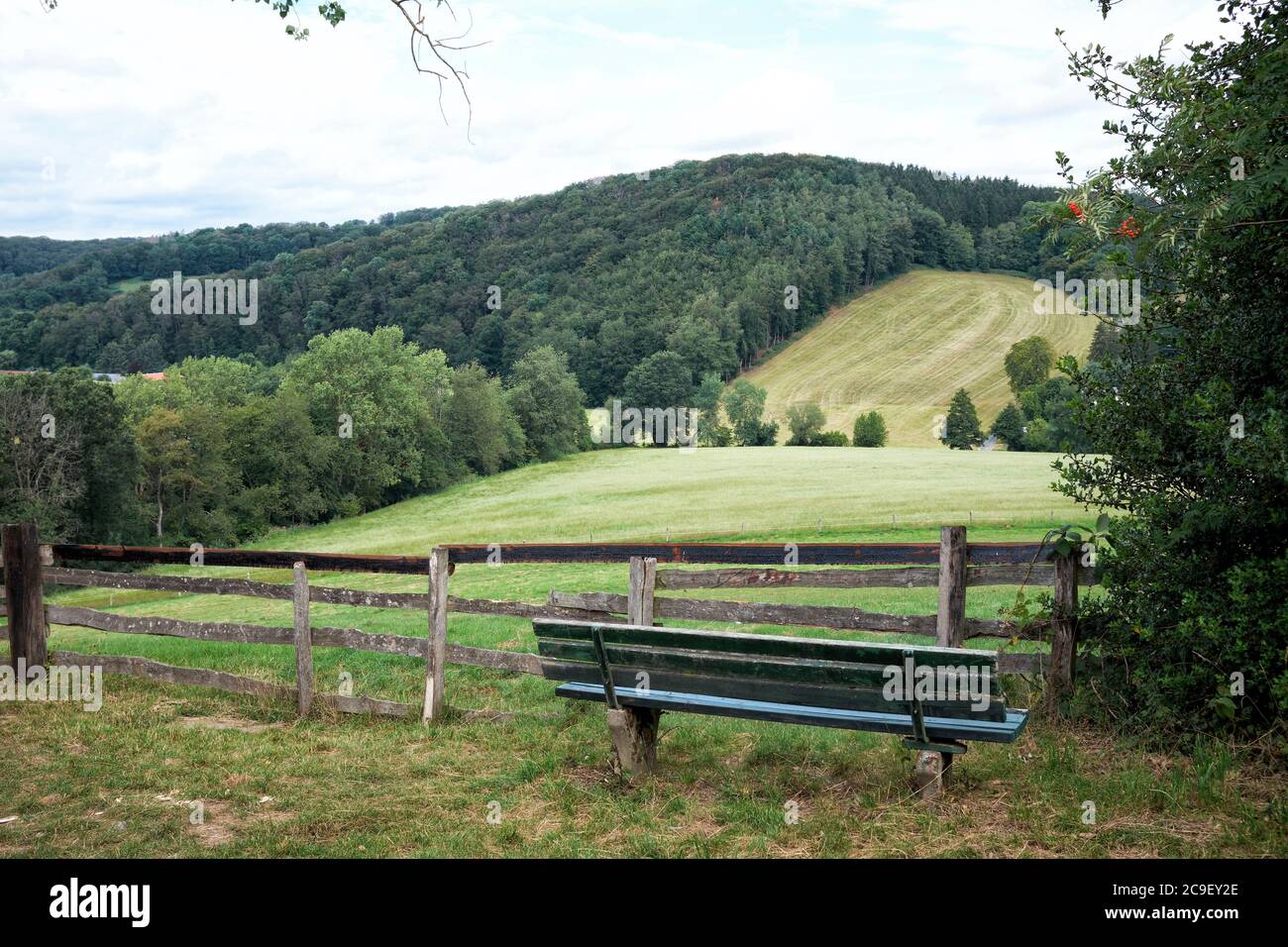 Die Umgebung im Bereich im Bereich im Bereich im Bereich. Foto Stock