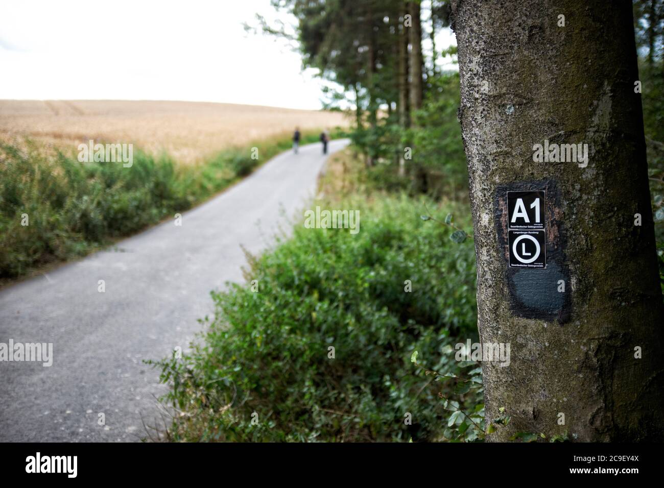 Die Umgebung im Bereich im Bereich im Bereich im Bereich. Foto Stock