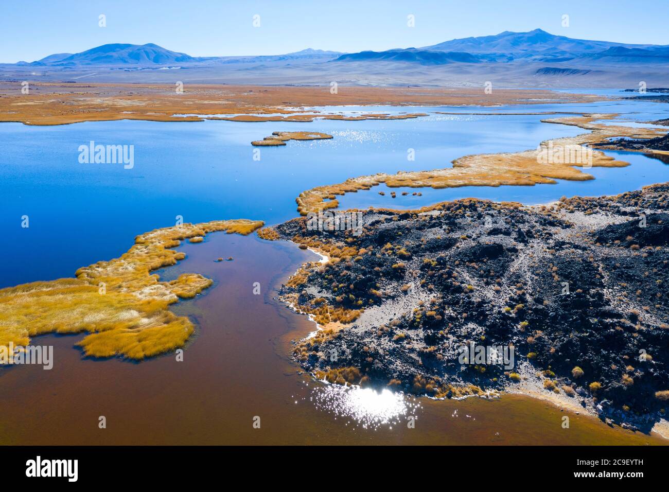 Vista aerea, Laguna de Antofagasta, Antofagasta de la Sierra, la Puna, Argentina, Sud America, America Foto Stock