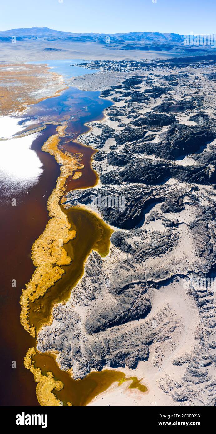 Vista aerea, Laguna de Antofagasta, Antofagasta de la Sierra, la Puna, Argentina, Sud America, America Foto Stock