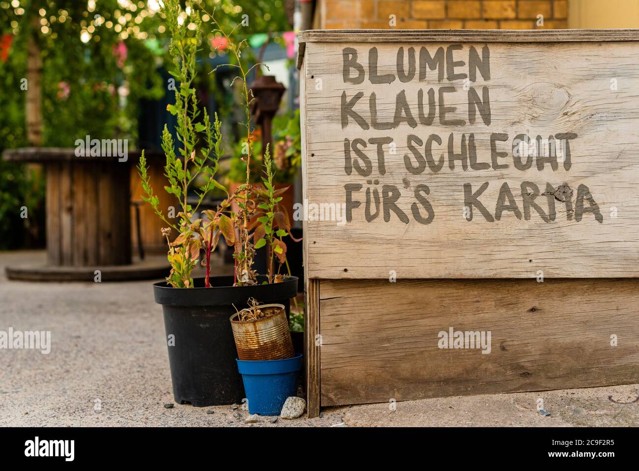 Un detto in tedesco: Rubare fiori è male per il karma Foto Stock