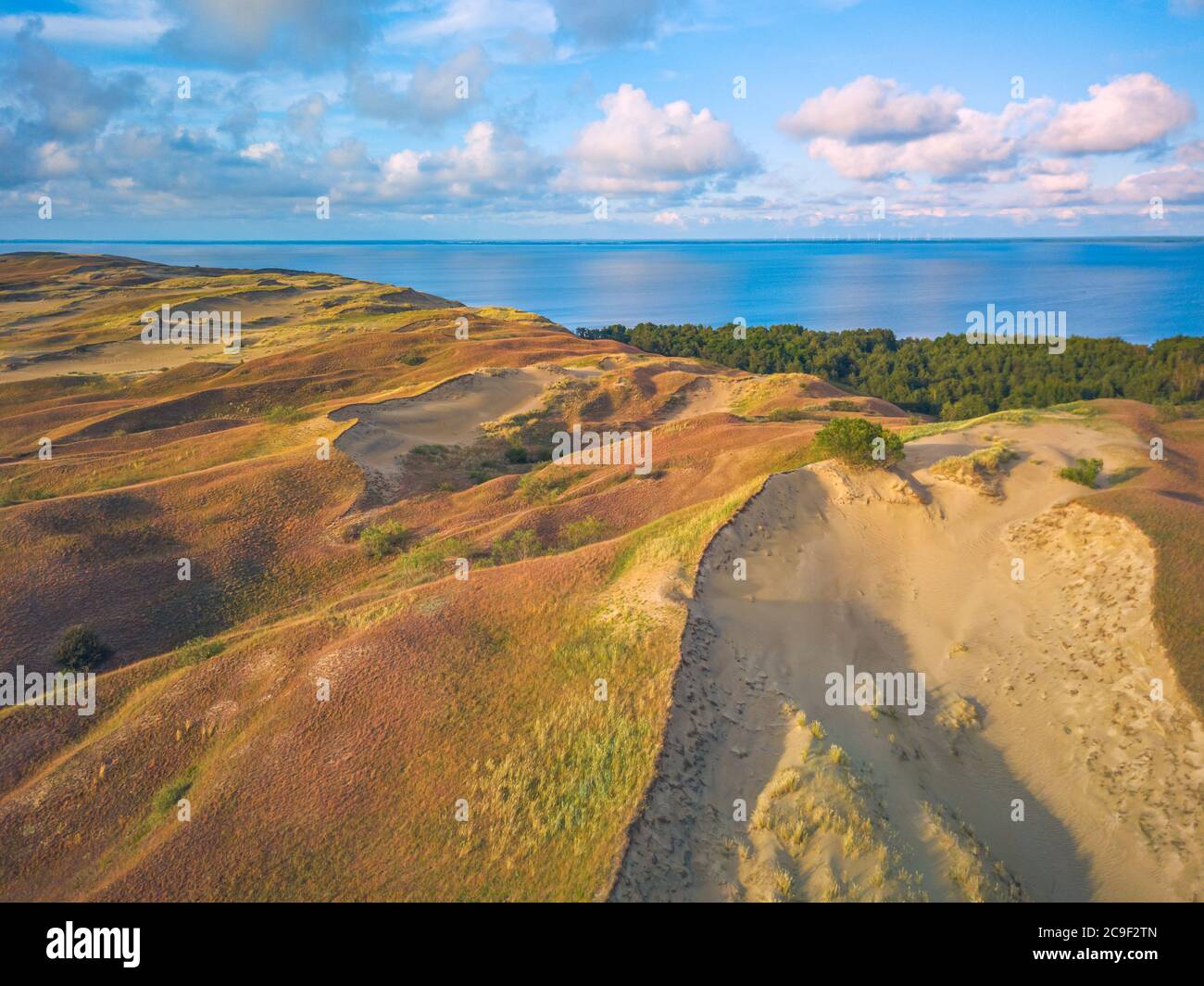 Bellissimo paesaggio delle dune grigie, dune morte alla spiedia curoniana a Nida, Neringa, Lituania Foto Stock