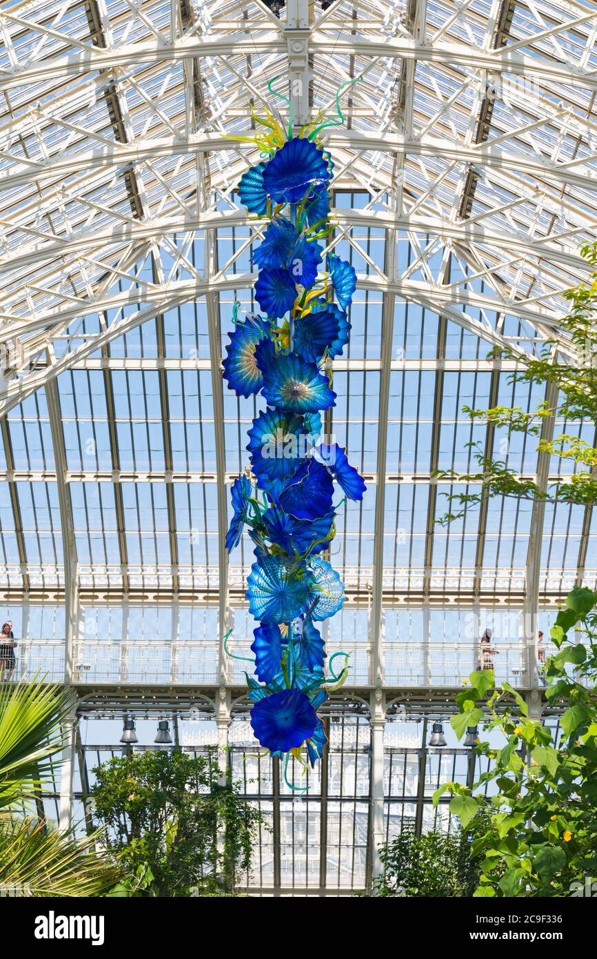 Kew Royal Botanical Gardens iconico Dale Chihuly Reflections natura Mostra sculture in vetro colorato scultura arte Temperate House Persiani Foto Stock