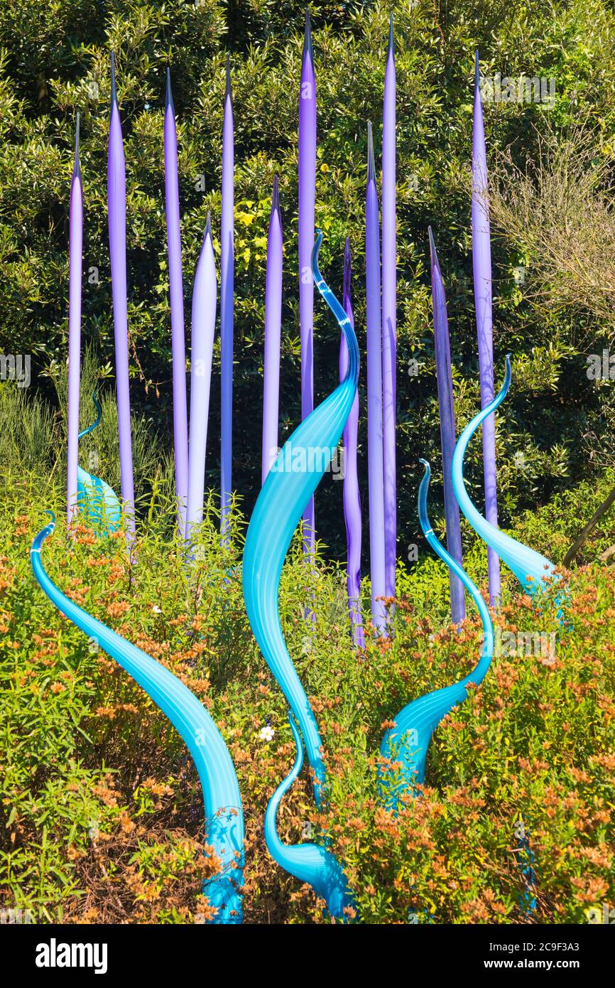 Kew Royal Botanical Gardens iconico Dale Chihuly Reflections Mostra colorati sculture in vetro scultura arte neodimio Reeds Turquoise Marlins Foto Stock