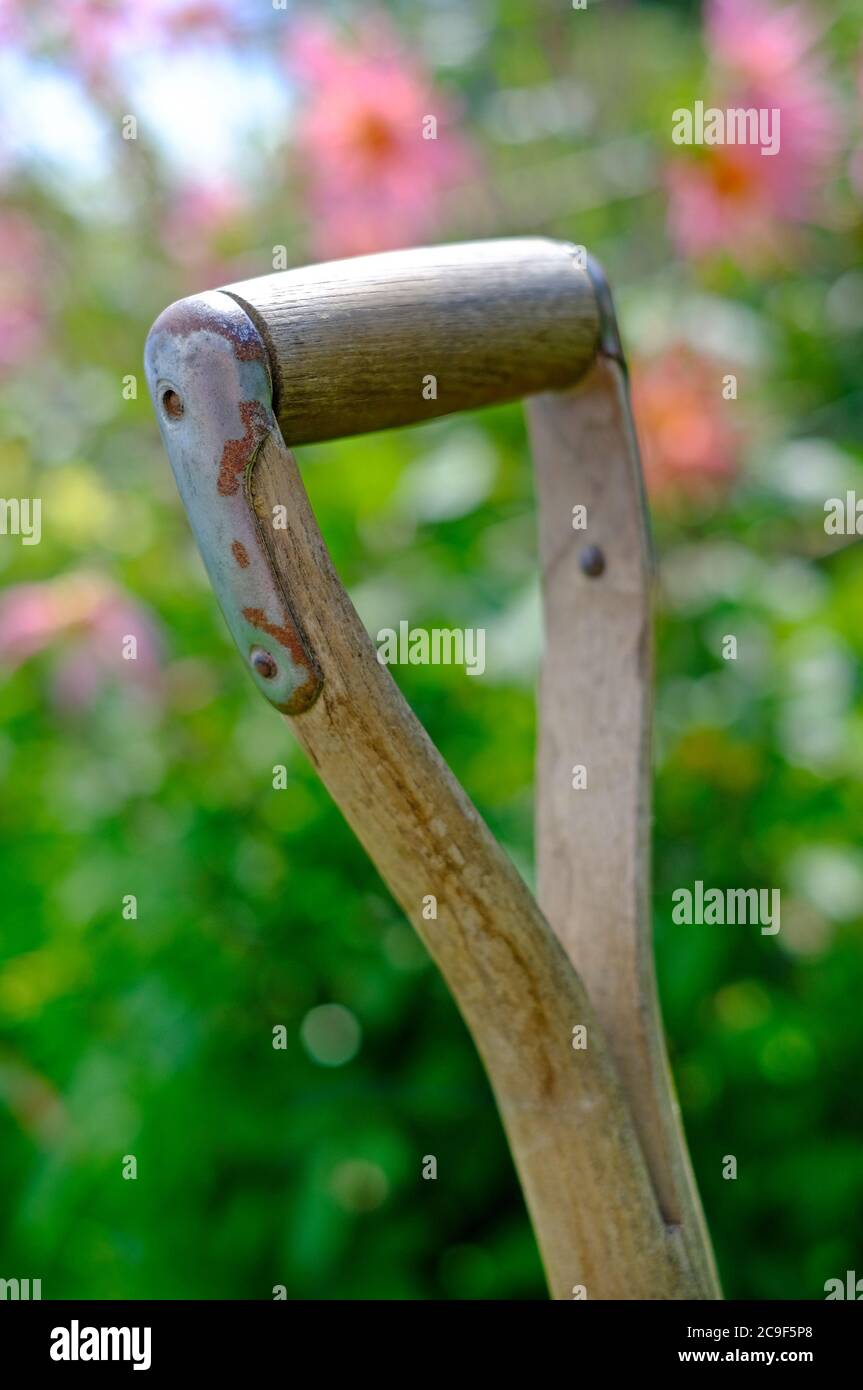 inglese giardino maniglia forchetta e fiori sfocati sullo sfondo Foto Stock