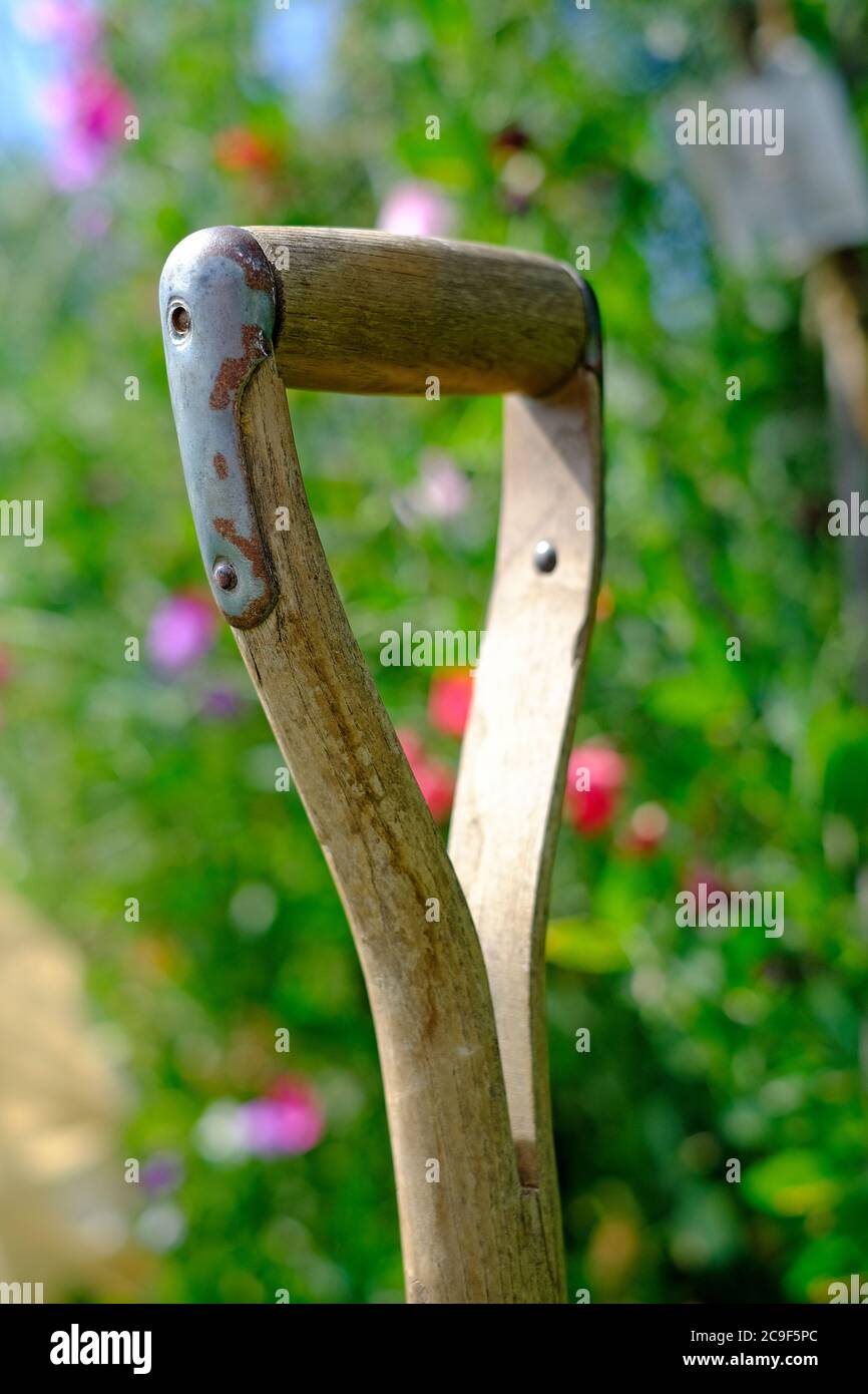 inglese giardino maniglia forchetta e fiori sfocati sullo sfondo Foto Stock