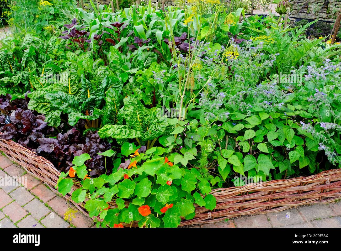 Riccamente piantato inglese cucina giardino - John Gollop Foto Stock