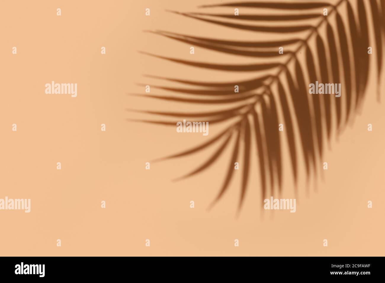 Ombra di foglia di palma su sfondo bianco. Concetto tropicale neutro astratto. Sovrapposizione ombreggiatura. Spazio di copia. Foto Stock