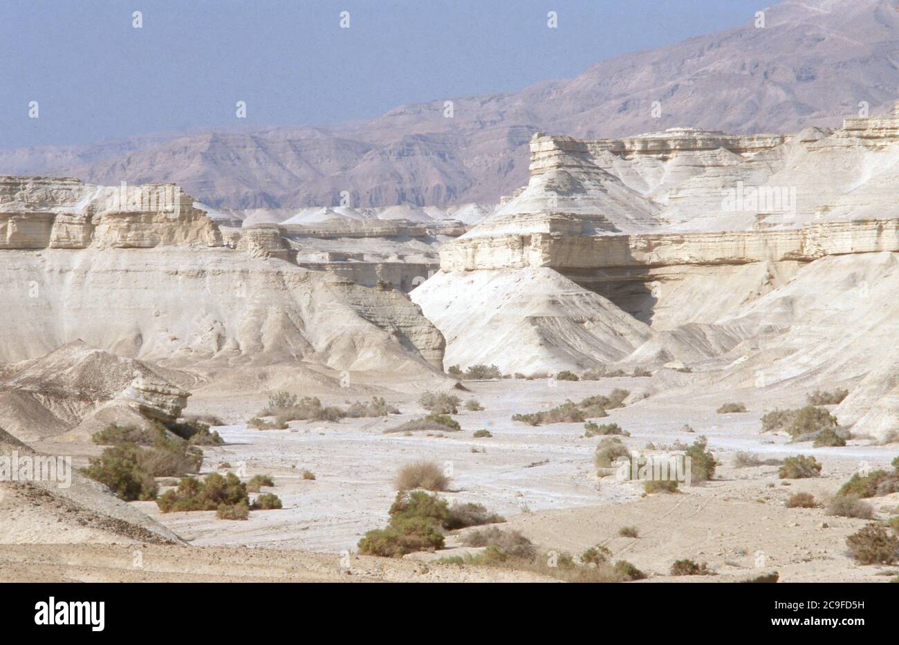 Impression in der Wüste Negev in Israele, 1988. Foto Stock