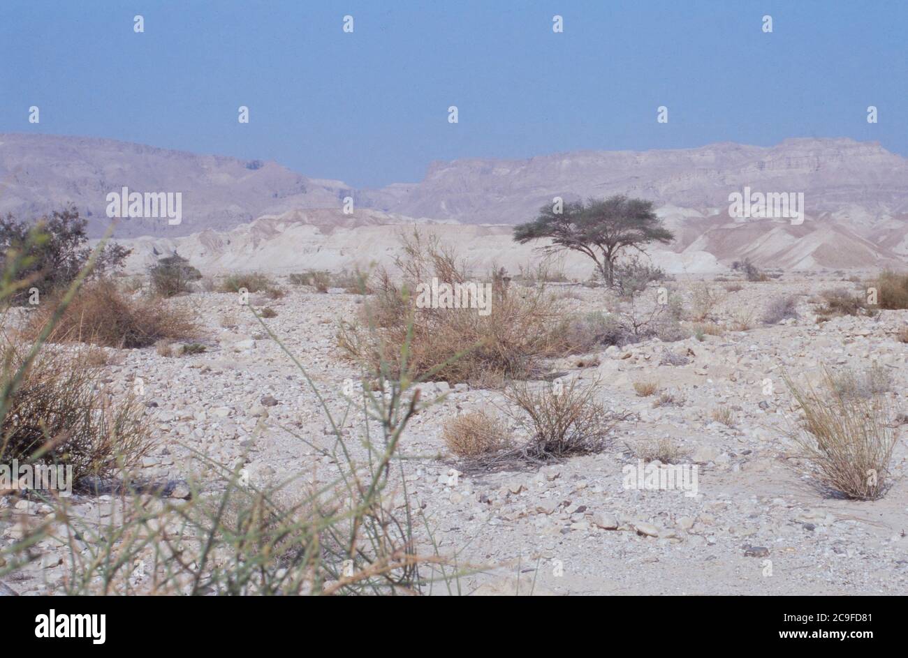 Impression in der Wüste Negev in Israele, 1988. Foto Stock