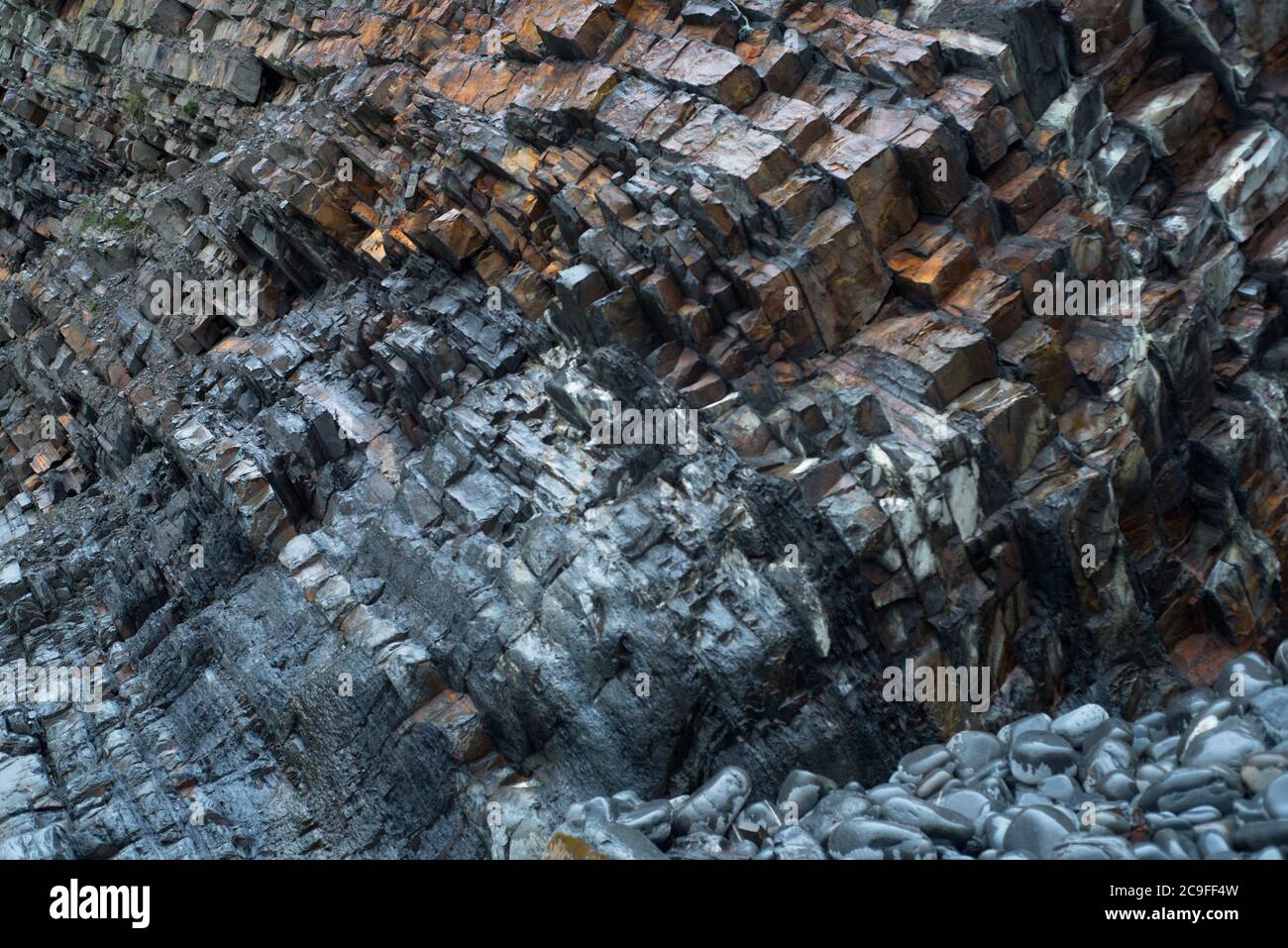 Hartland Quay, roccia di Carbonifere britannica Foto Stock