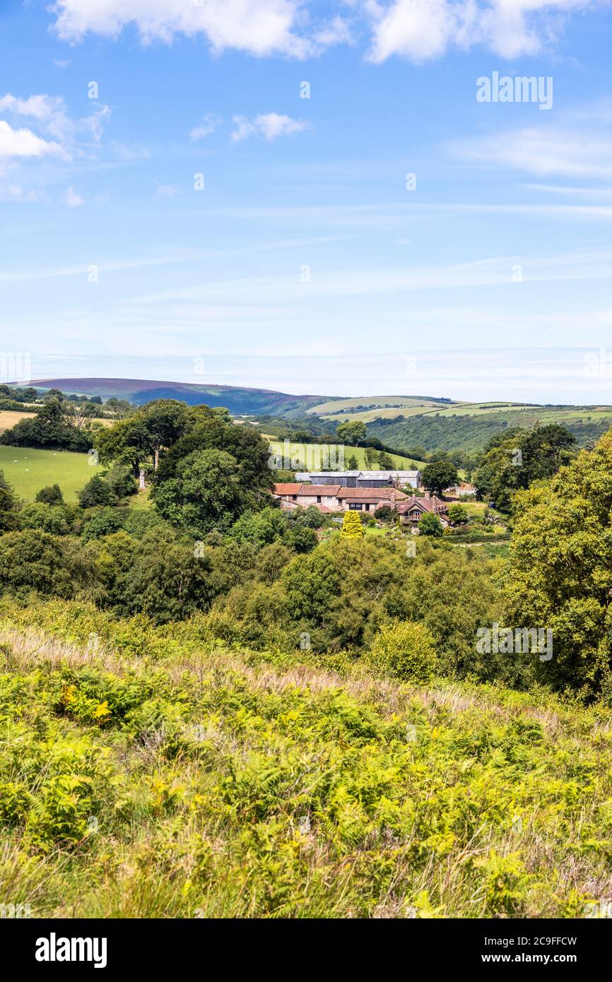 Exmoor National Park - la vista verso Cloutsham dal sentiero su Dunkery Hill che conduce a Dunkery Beacon, Somerset UK Foto Stock
