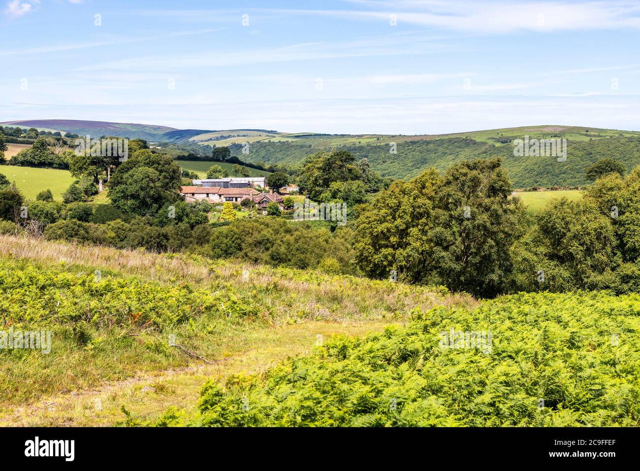 Exmoor National Park - la vista verso Cloutsham dal sentiero su Dunkery Hill che conduce a Dunkery Beacon, Somerset UK Foto Stock