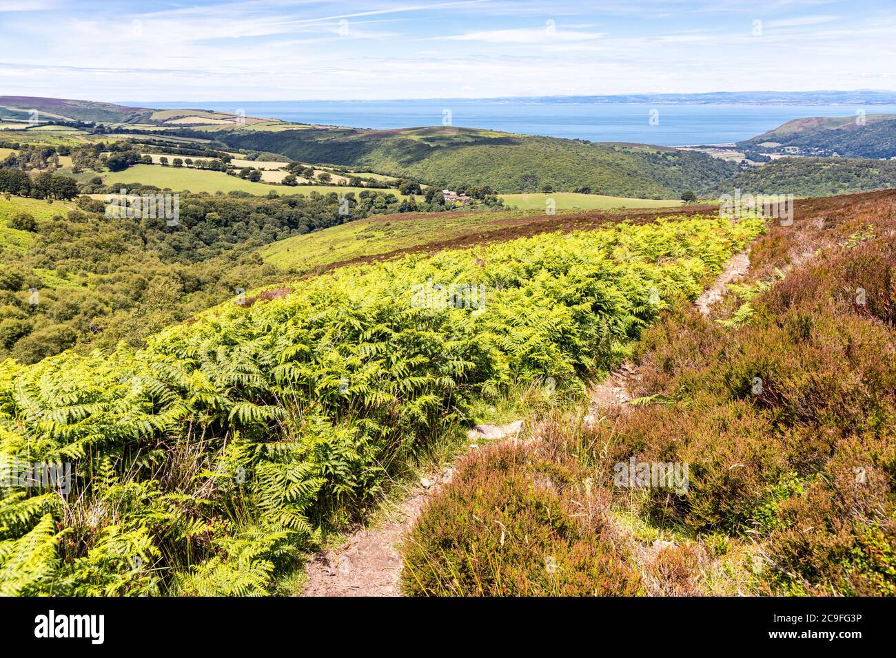 Exmoor National Park - la vista verso Cloutsham dal sentiero su Dunkery Hill che conduce a Dunkery Beacon, Somerset UK Foto Stock