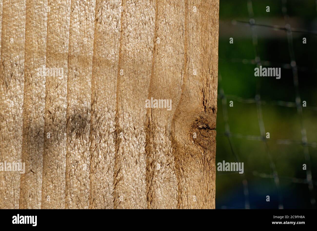 Primo piano del grano di un palo di legno Foto Stock
