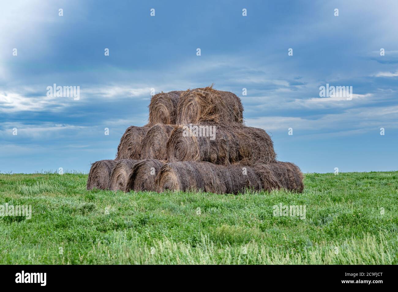 Venti balle di fieno sono accatastate su una collina in una fattoria nel Midwest. Il fieno viene utilizzato come mangime per vari animali da fattoria. Foto Stock