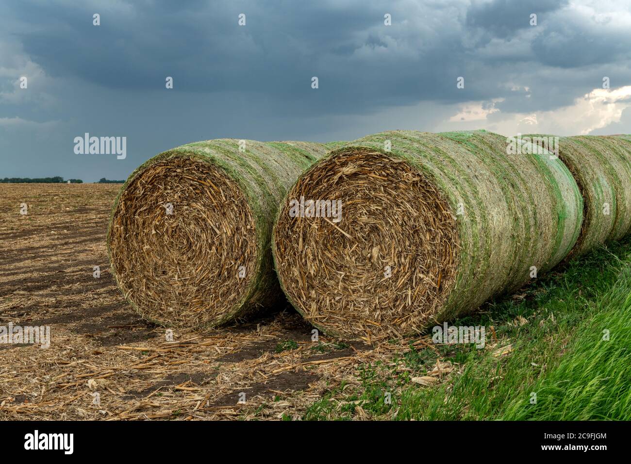 Venti balle di fieno sono accatastate su una collina in una fattoria nel Midwest. Il fieno viene utilizzato come mangime per vari animali da fattoria. Foto Stock