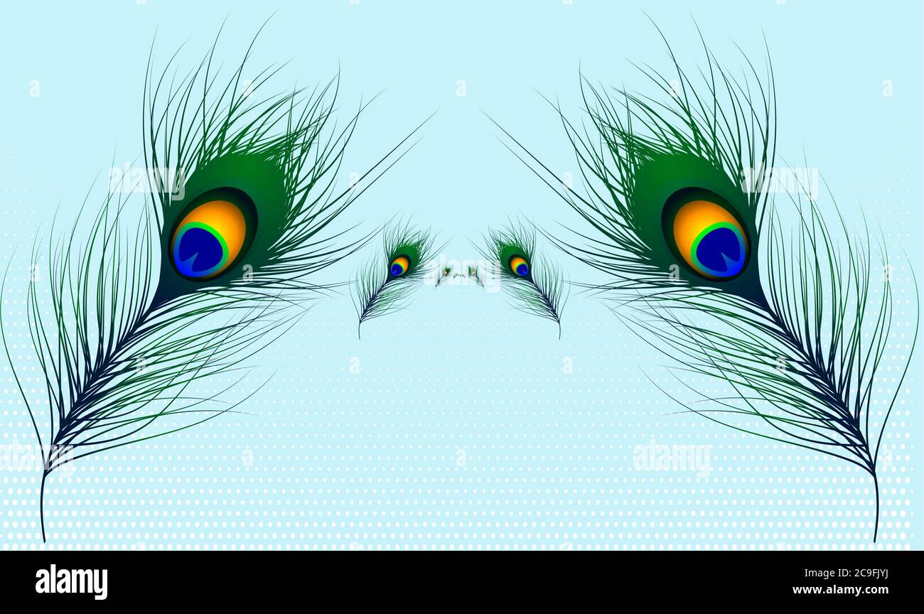 disegno vettoriale dei capelli di pavone su sfondi chiari astratti Illustrazione Vettoriale