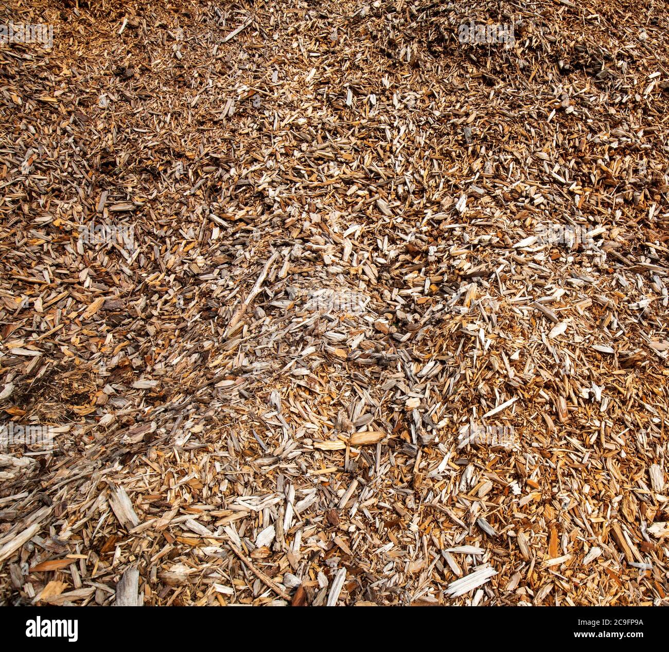 Pila di trucioli di legno Foto Stock