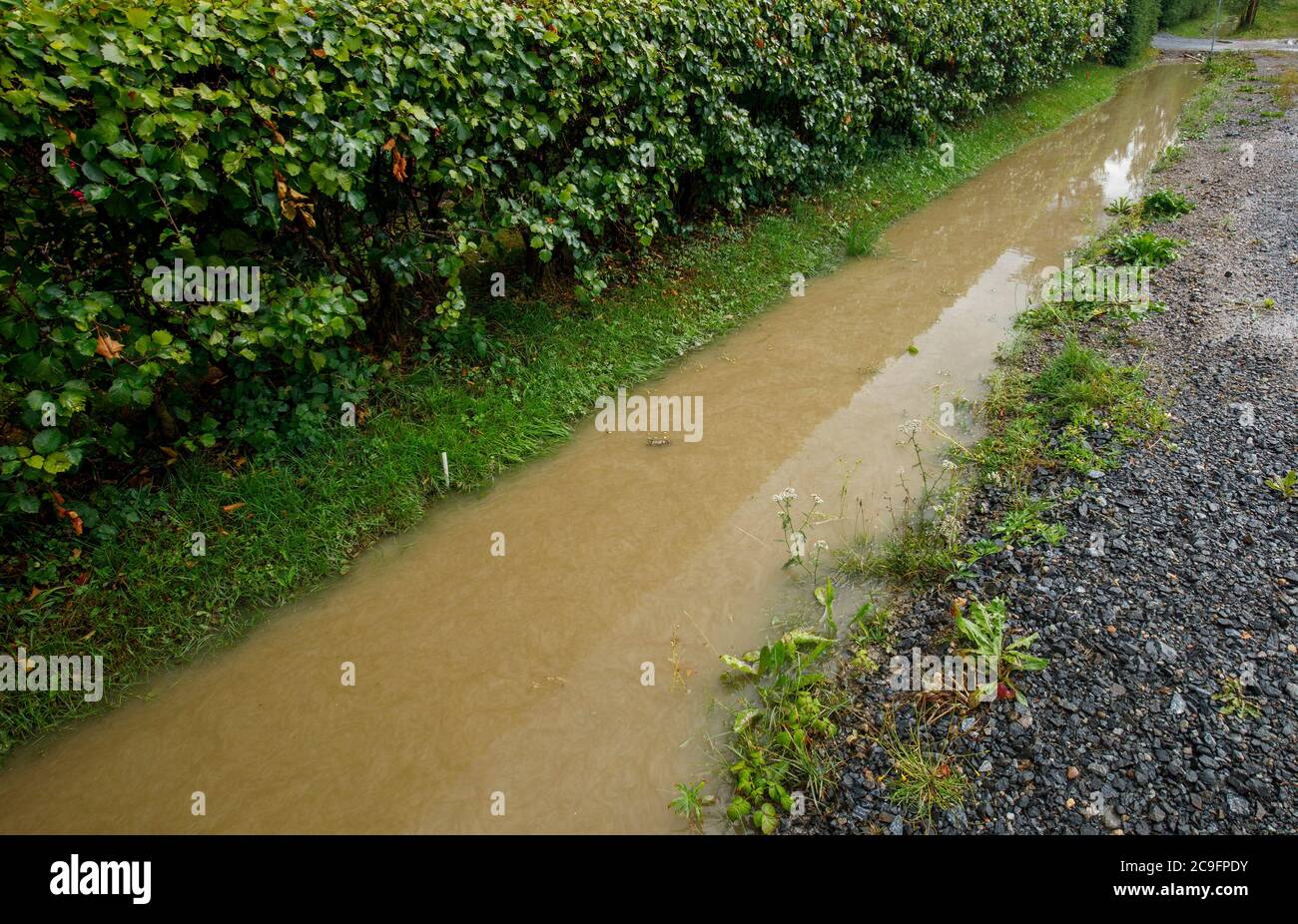 Via fosso pieno di sedimenti ricca acqua sporca dopo downpour , Finlandia Foto Stock