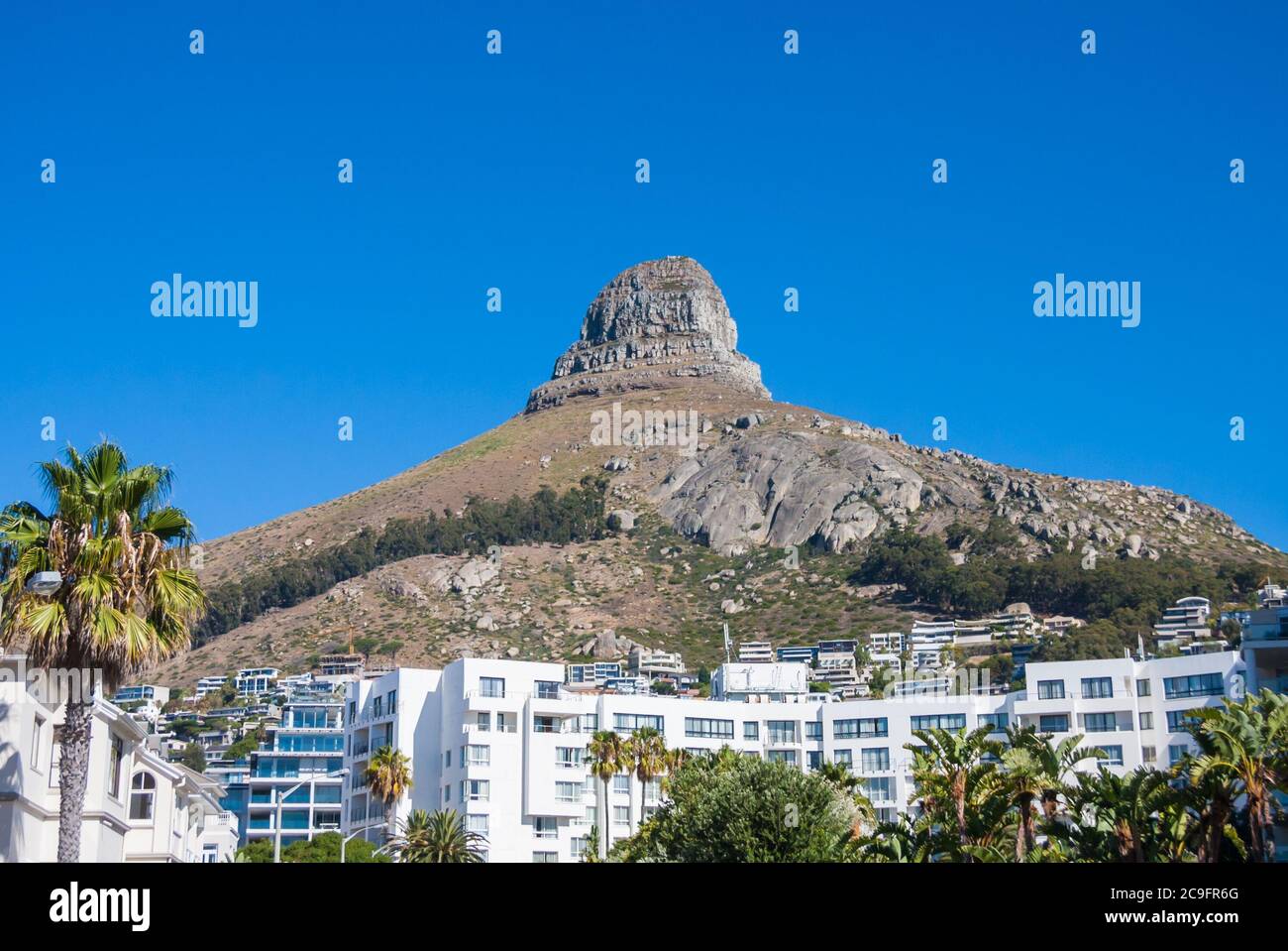 Vista della montagna Lions Head con edifici e palme sotto un cielo blu chiaro sfondo a Città del Capo, Sud Africa Foto Stock