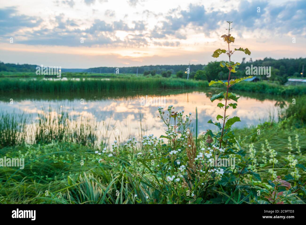 Tramonto sul lago. Serata tranquilla sul lago con nuvole che si riflettono sull'acqua. Foto Stock