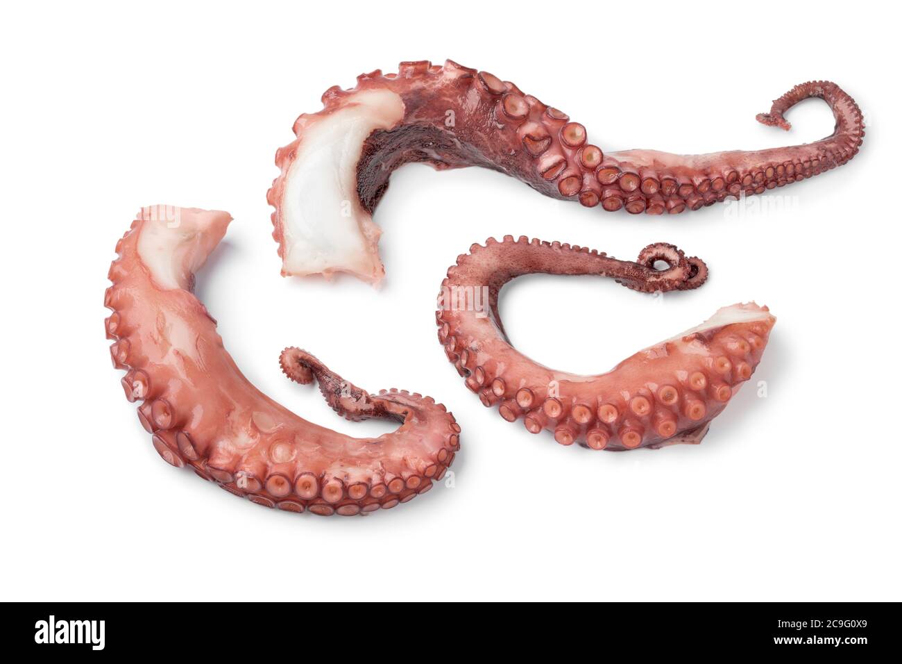 Tentacoli di polpo freschi cucinati da vicino isolati su sfondo bianco Foto Stock